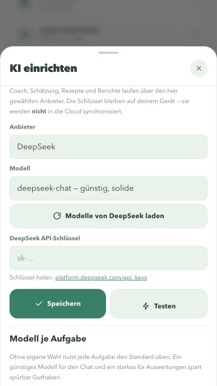Anbieter und Modell einrichten; das Schlüsselfeld ist in der Aufnahme leer.
