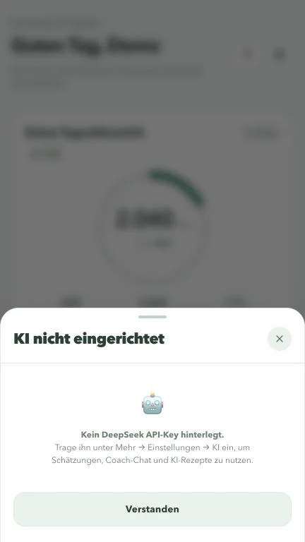 Ohne eigenen Zugang zeigt die App den tatsächlichen Einrichtungshinweis.