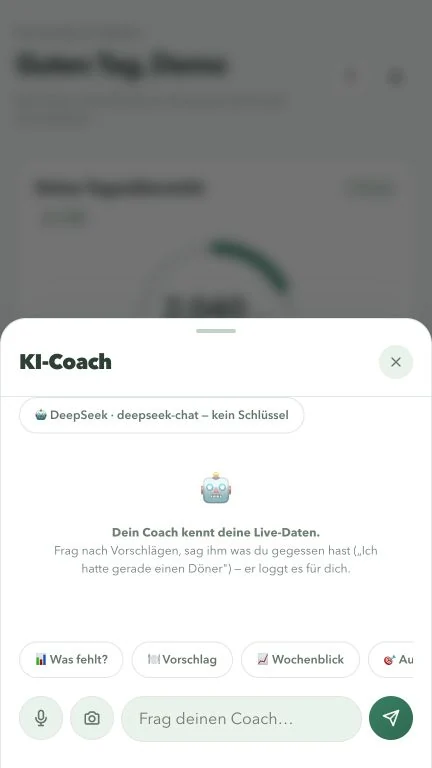 Die originale KI-Coach-Oberfläche ohne eingerichteten Zugang.
