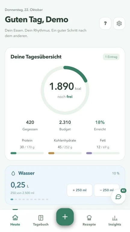 Der echte Tagesstand nach einer Eingabe. Alle Werte sind synthetische Demodaten.